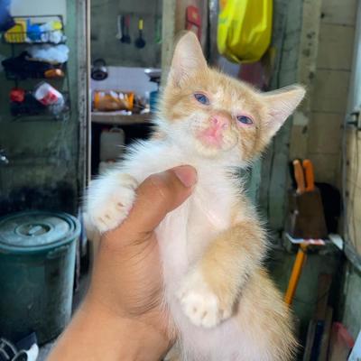 Portrait of creator iced_caramelmacchiato