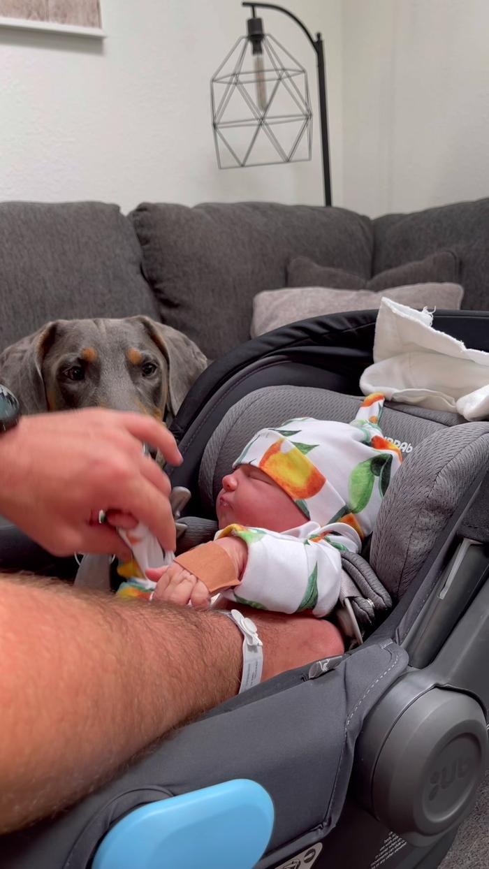 Post by amandaphillips818