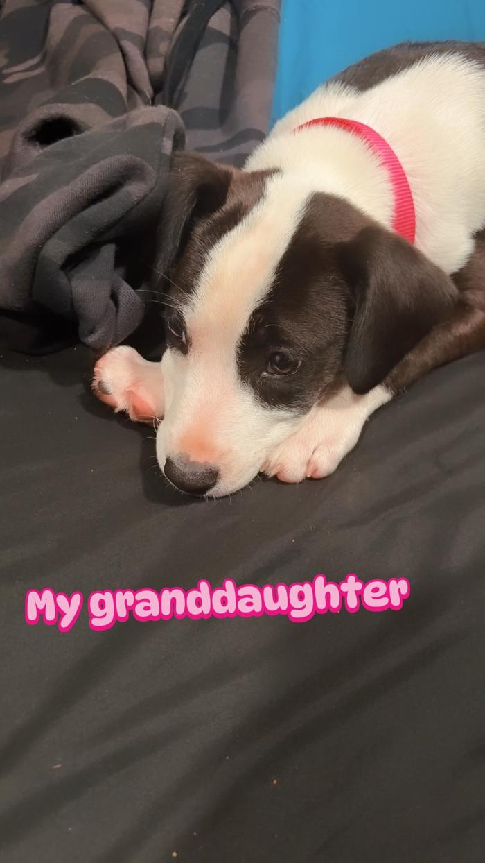 Post by the__creator08