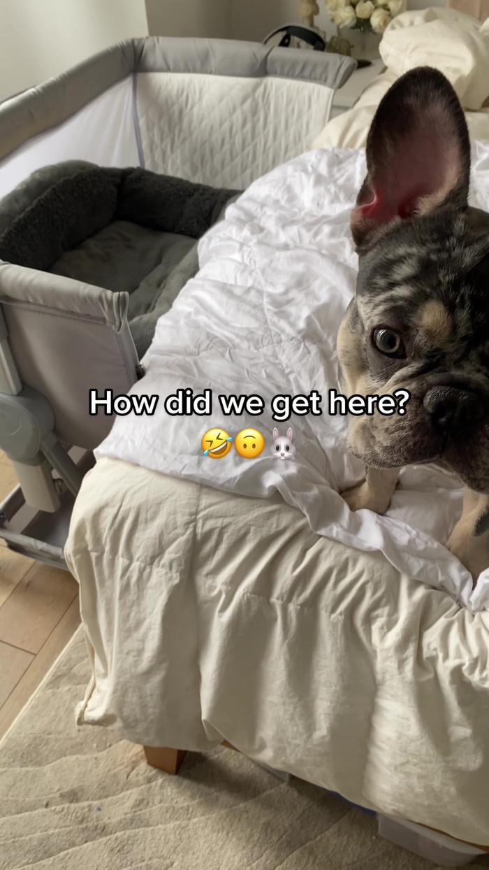 Post by rachelmulherin