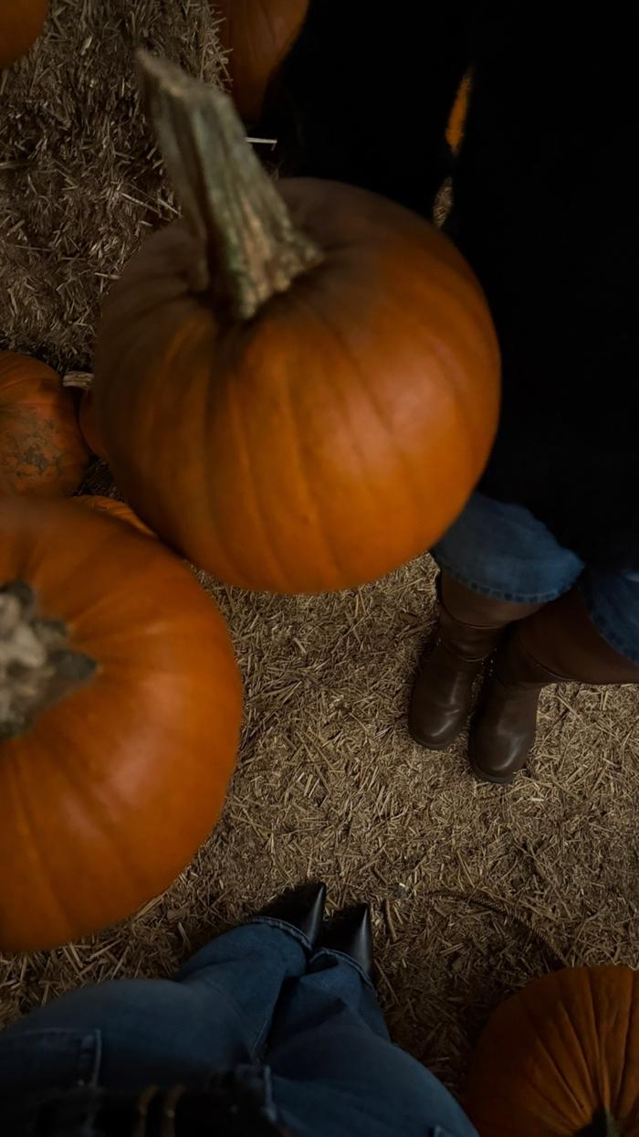 Post by selenemichelleee