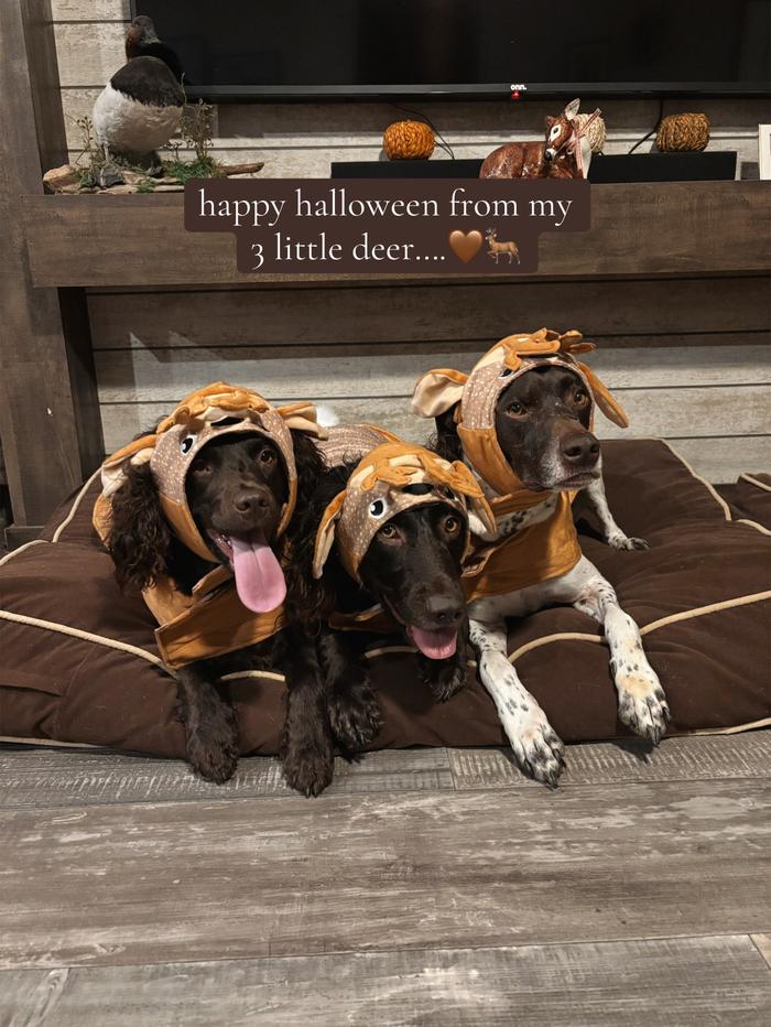 Post by annmariesmith_