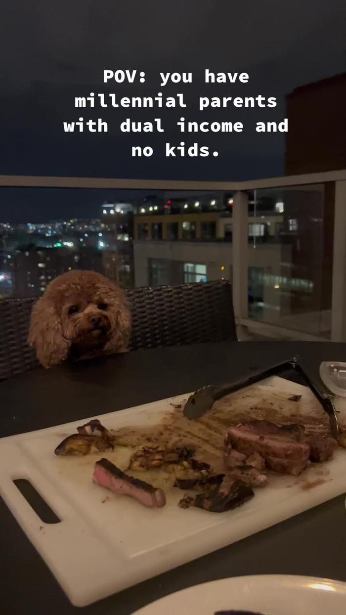 Post by cavapoochloe