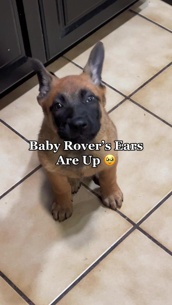 Post by alisonlauffer