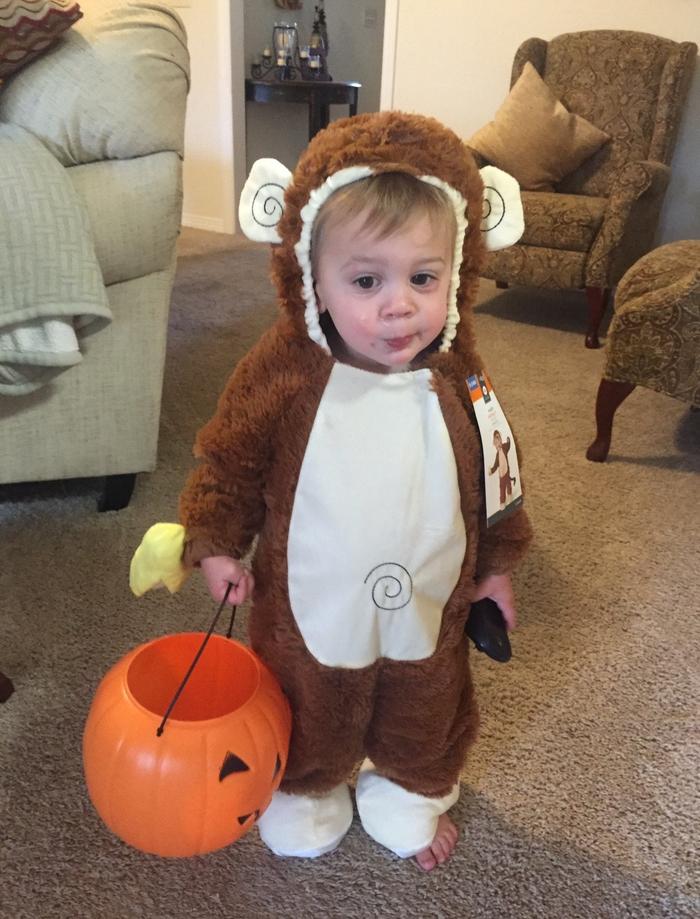 Post by candiceshipp