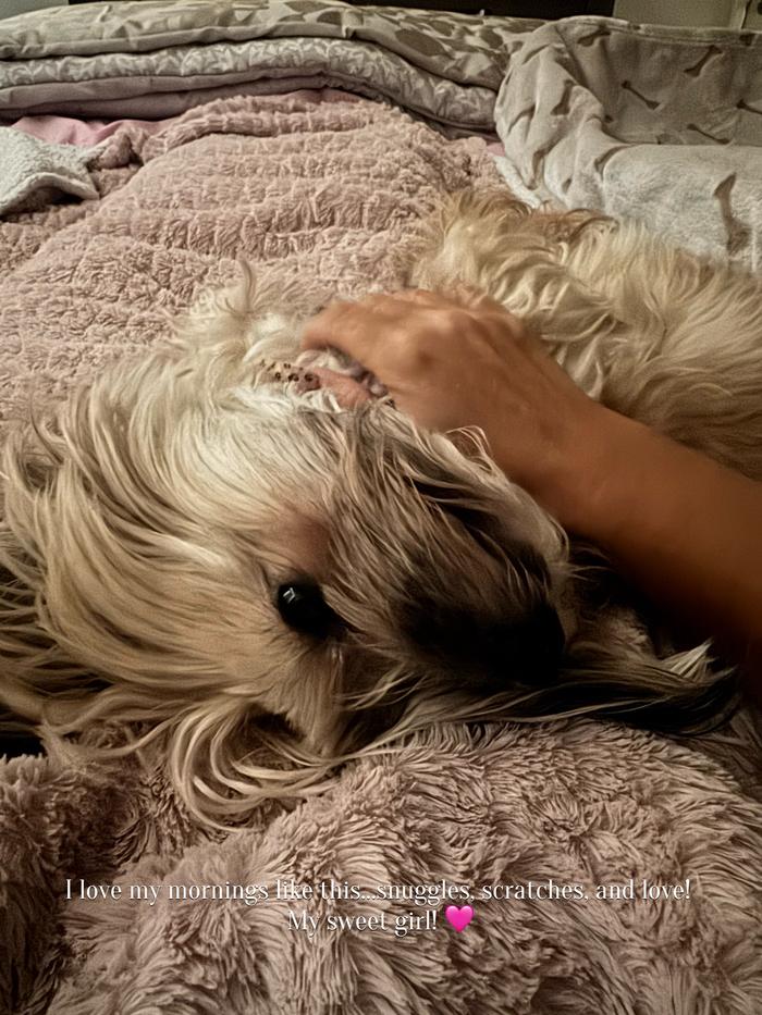 Post by caliblondychick23