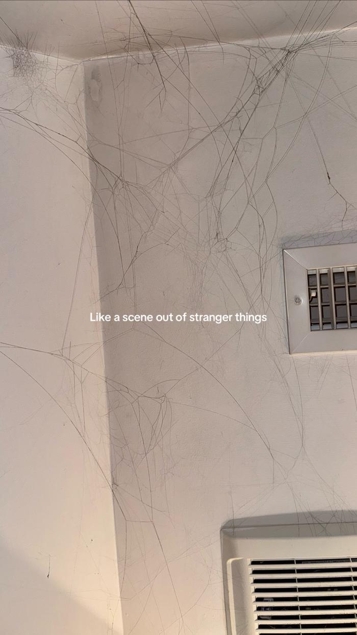 Post by thecarmakeupmom