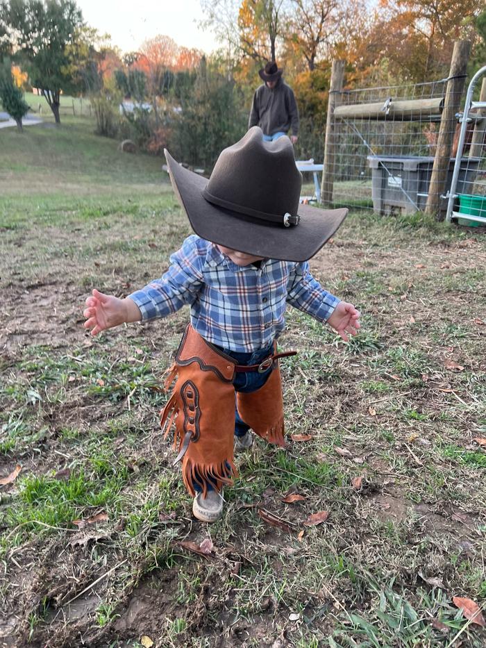 Post by judyonthefarm