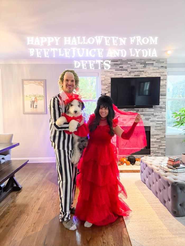 Post by hollydays_chicago