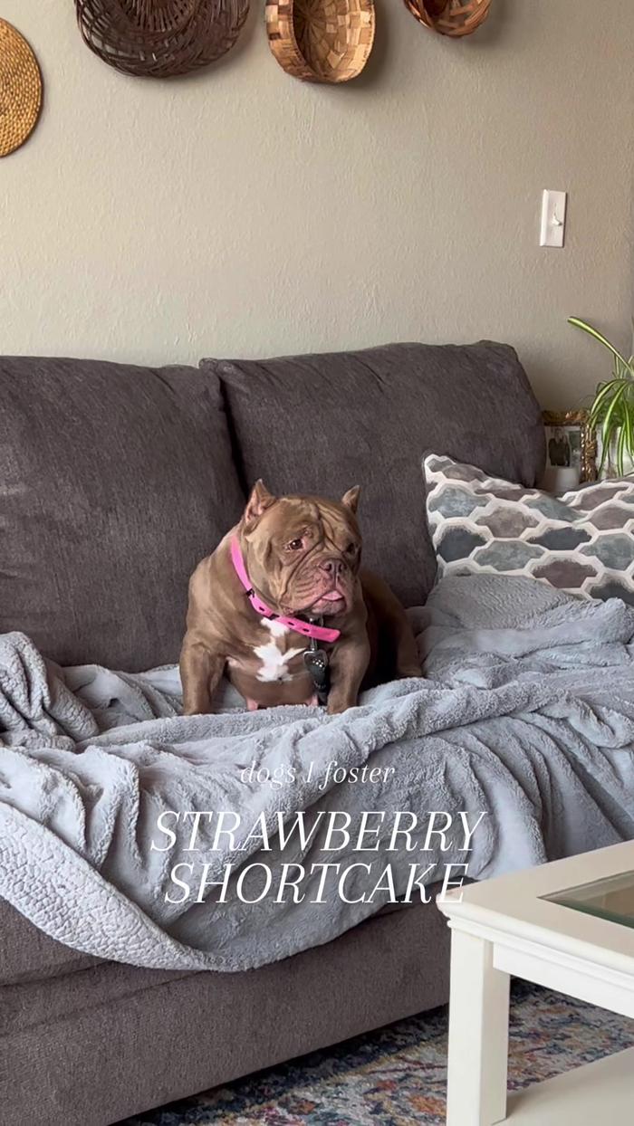 Post by carrie.gillaspie