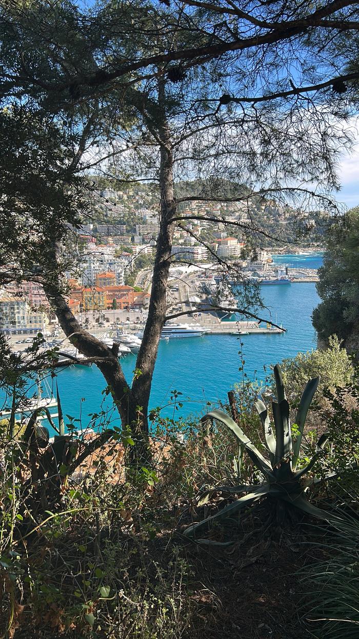 Post by raven.reneee