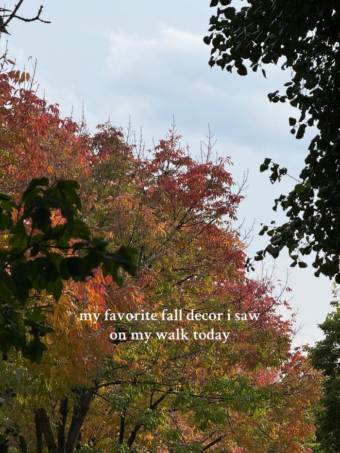 Post by oliviazimmerman25