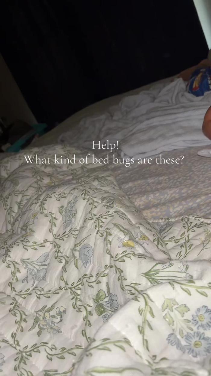 Post by kristie_turner