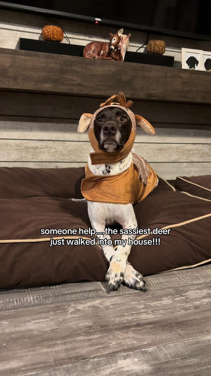 Post by annmariesmith_