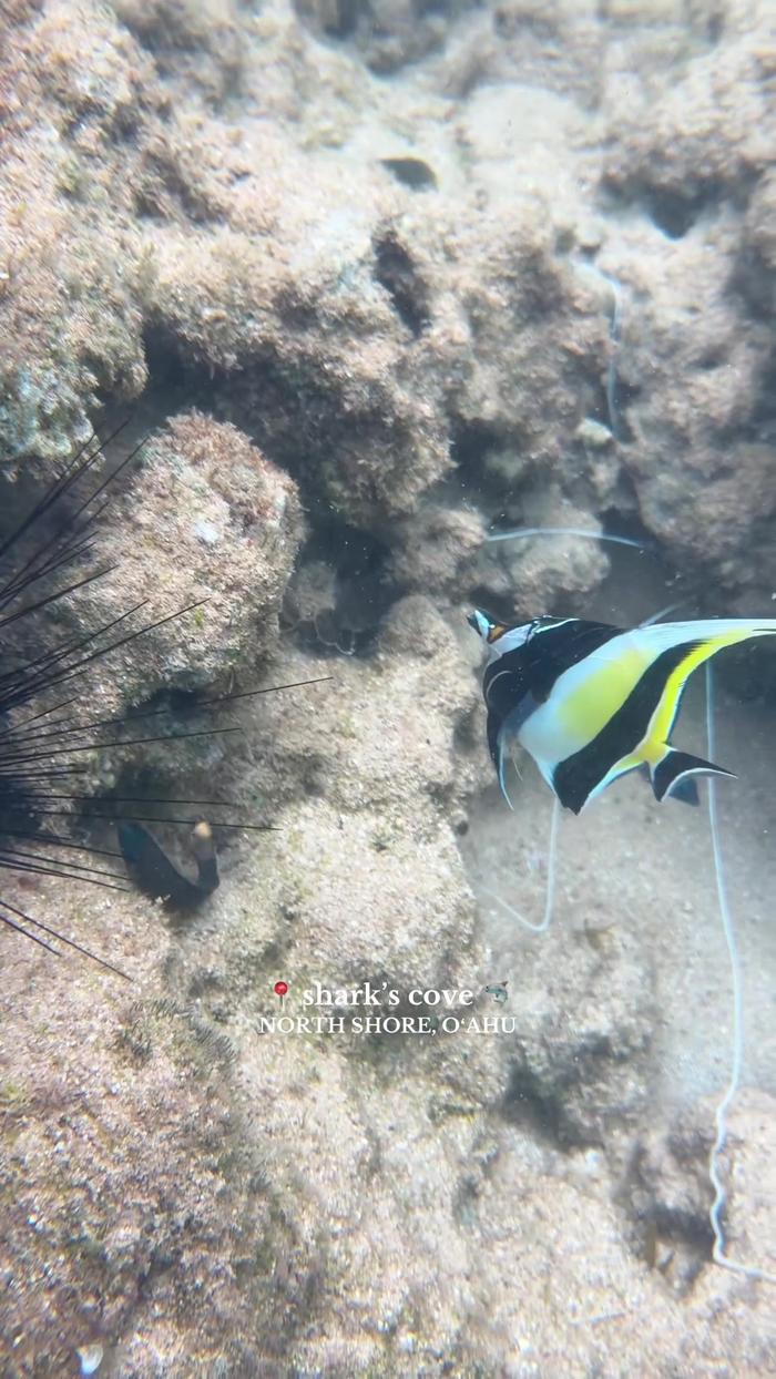 Post by christenstrang