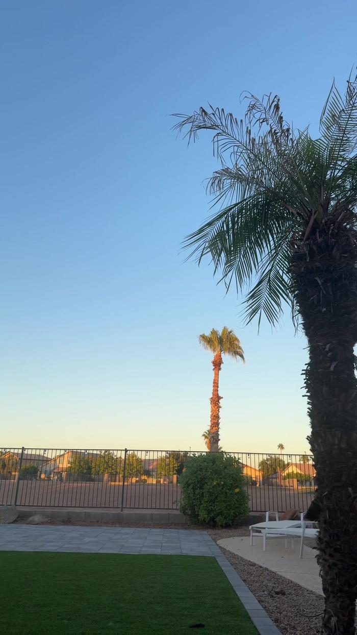 Post by brielleharvey_