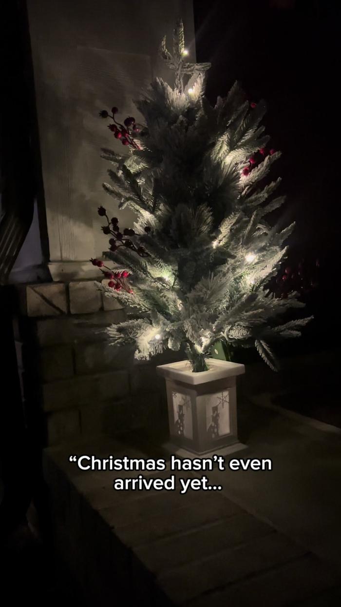 Post by alinefreeman.ugc