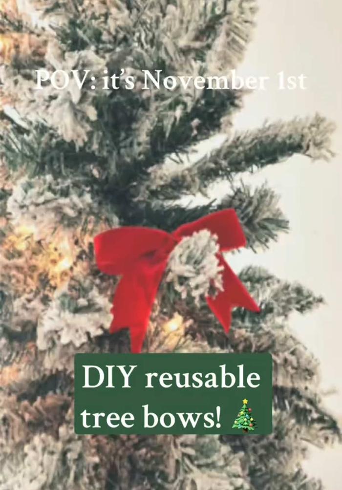 Post by lauren.mackk