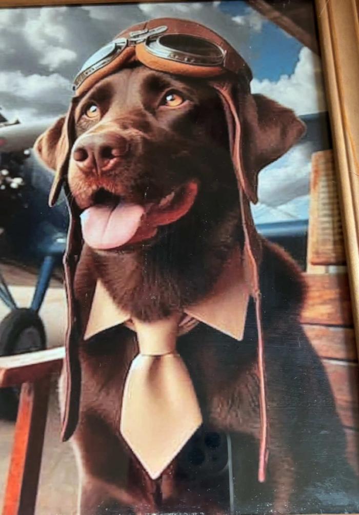 Post by madisonmarion02