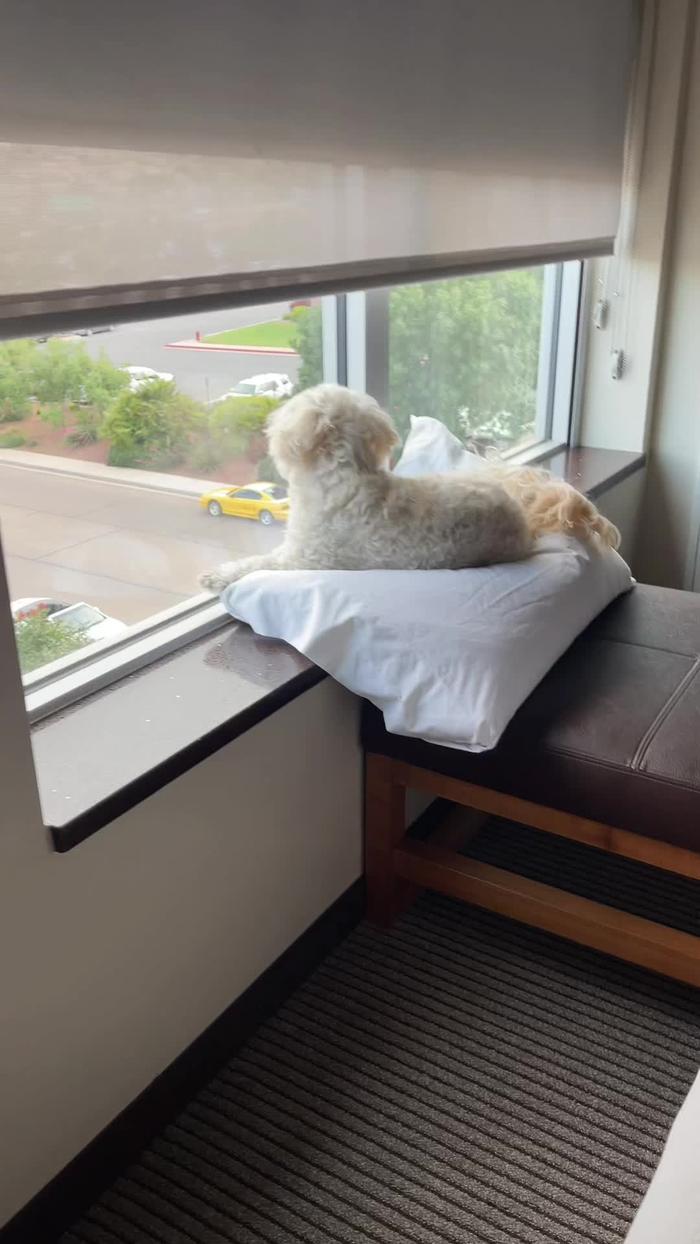 Post by lovingflow23