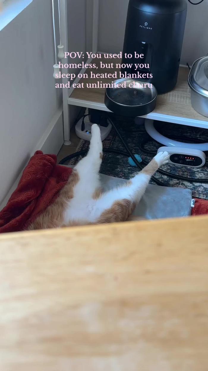 Post by mangotheknockout