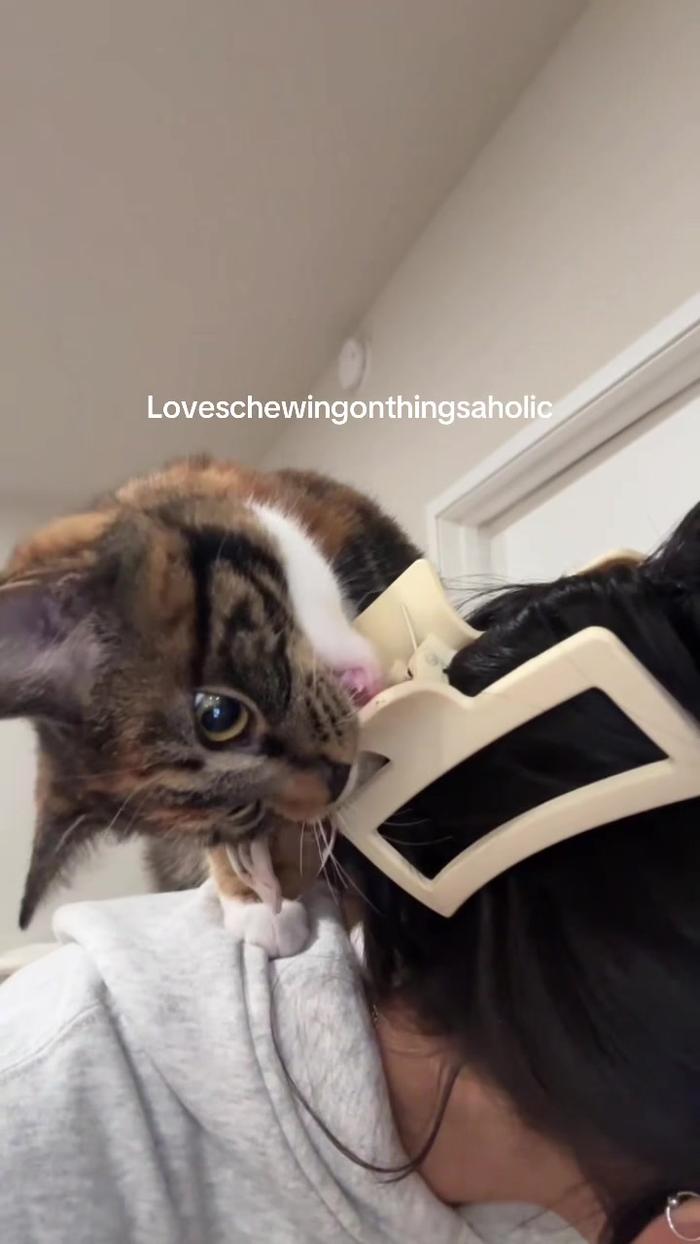 Post by brittneyhillmer