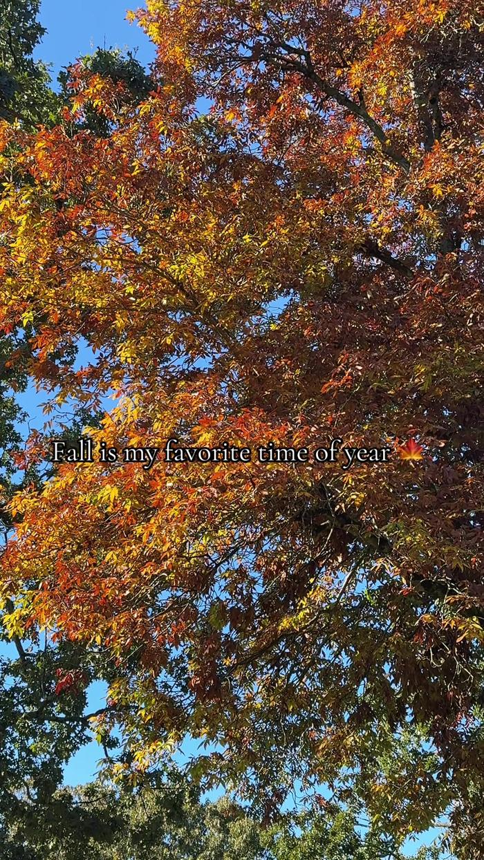 Post by thejessreynoldss