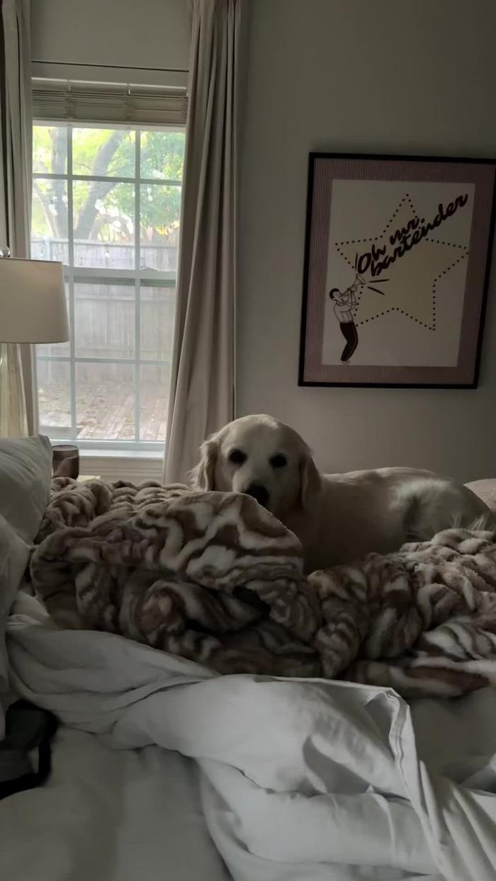 Post by bebelowrance1