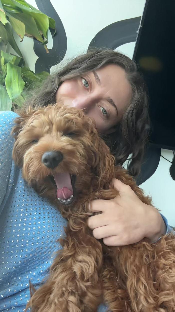 Post by saraugc.xuereb