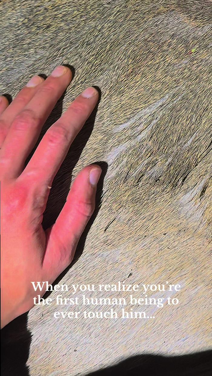 Post by brookskatie_