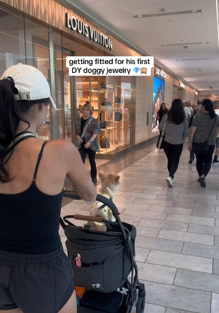 Post by sophiemalinosky_