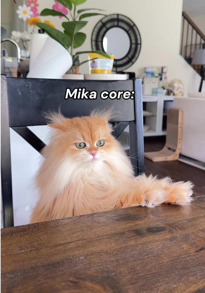 Post by malanabouarouy