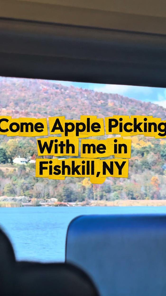 Post by divineandconquers