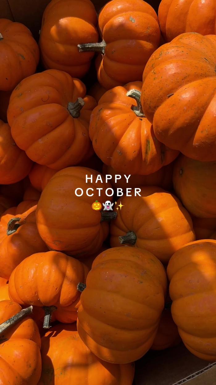 Post by jacquelinemariebriones