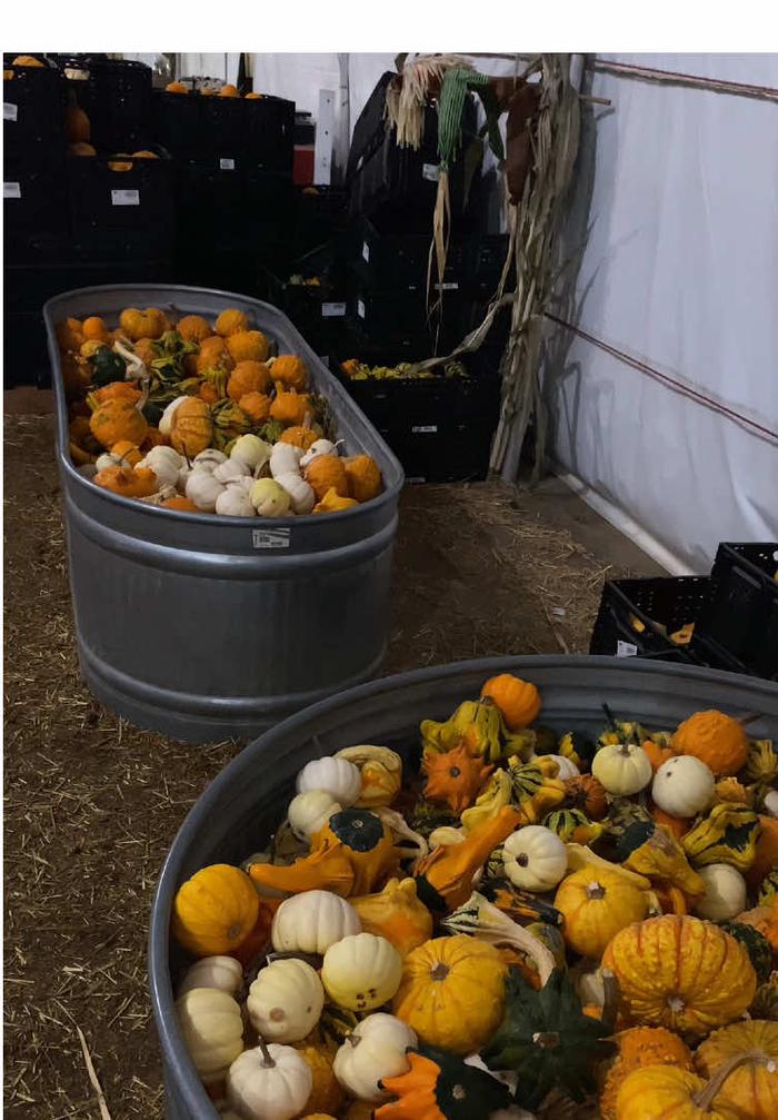 Post by gabriellennell