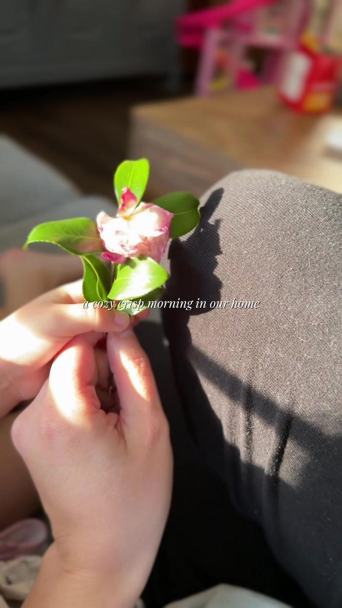 Post by jalonsullivant