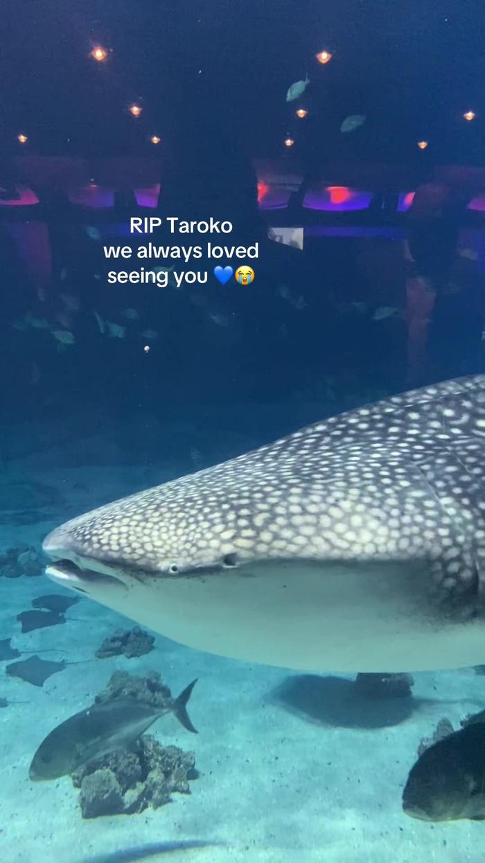 Post by kayla_christinee