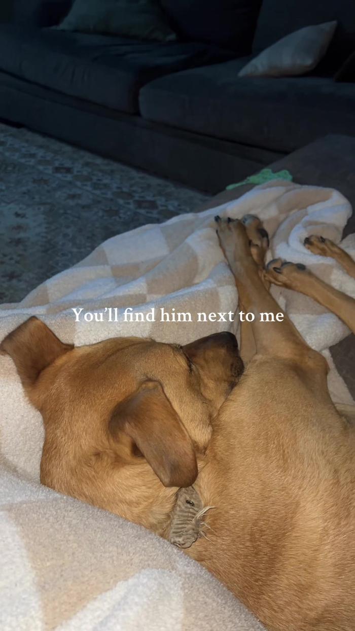 Post by madelinealex1