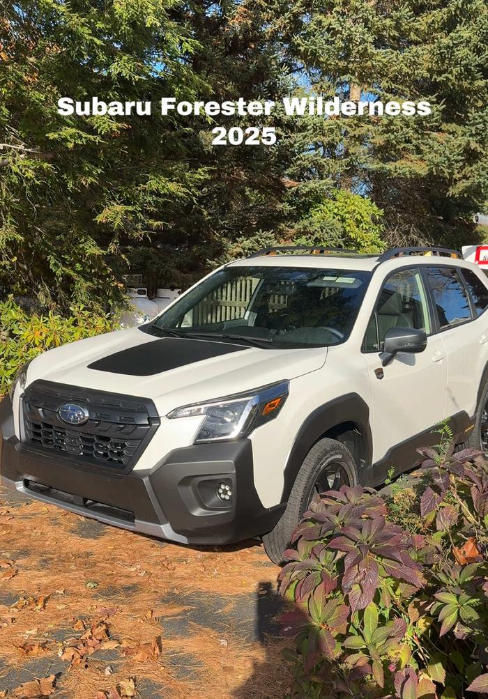 Post by angelica.christine