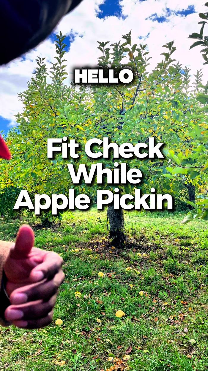 Post by divineandconquers