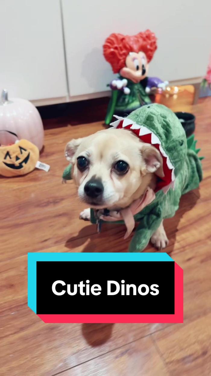 Post by allisonclaye