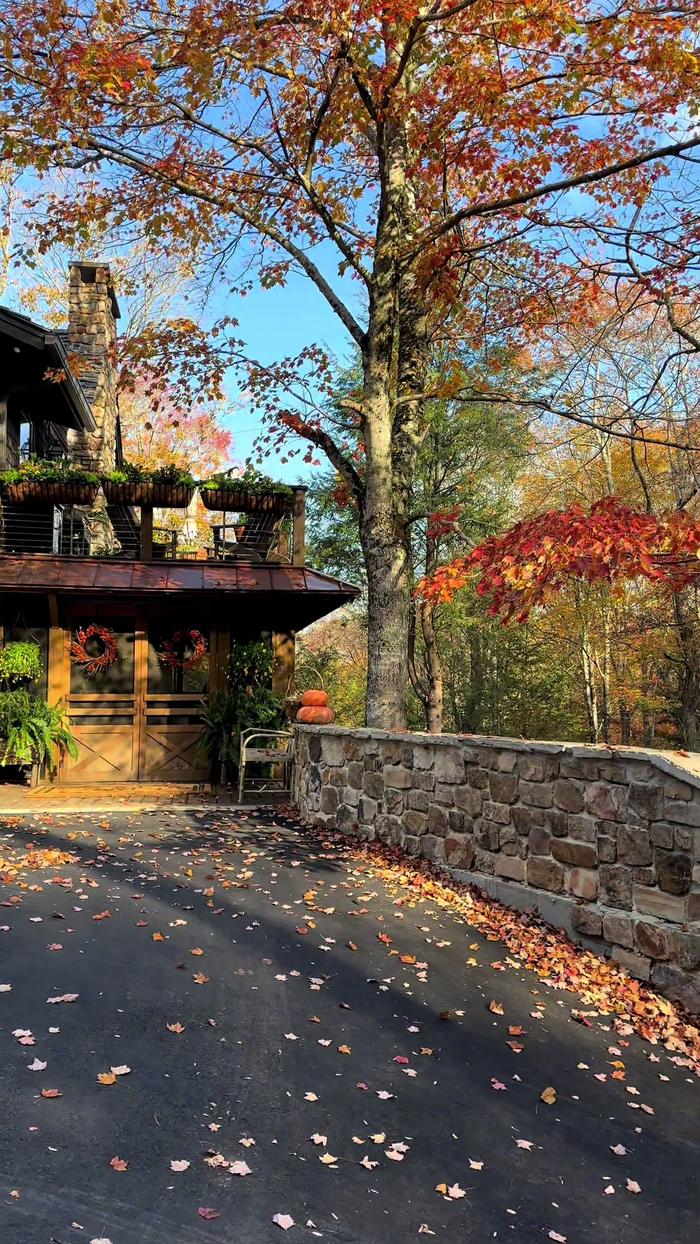 Post by jenningsboukather