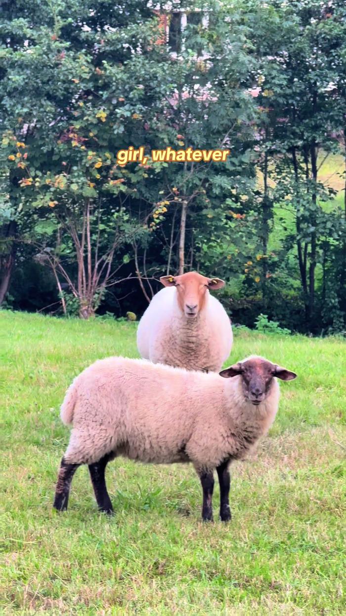 Post by itsshiningsim