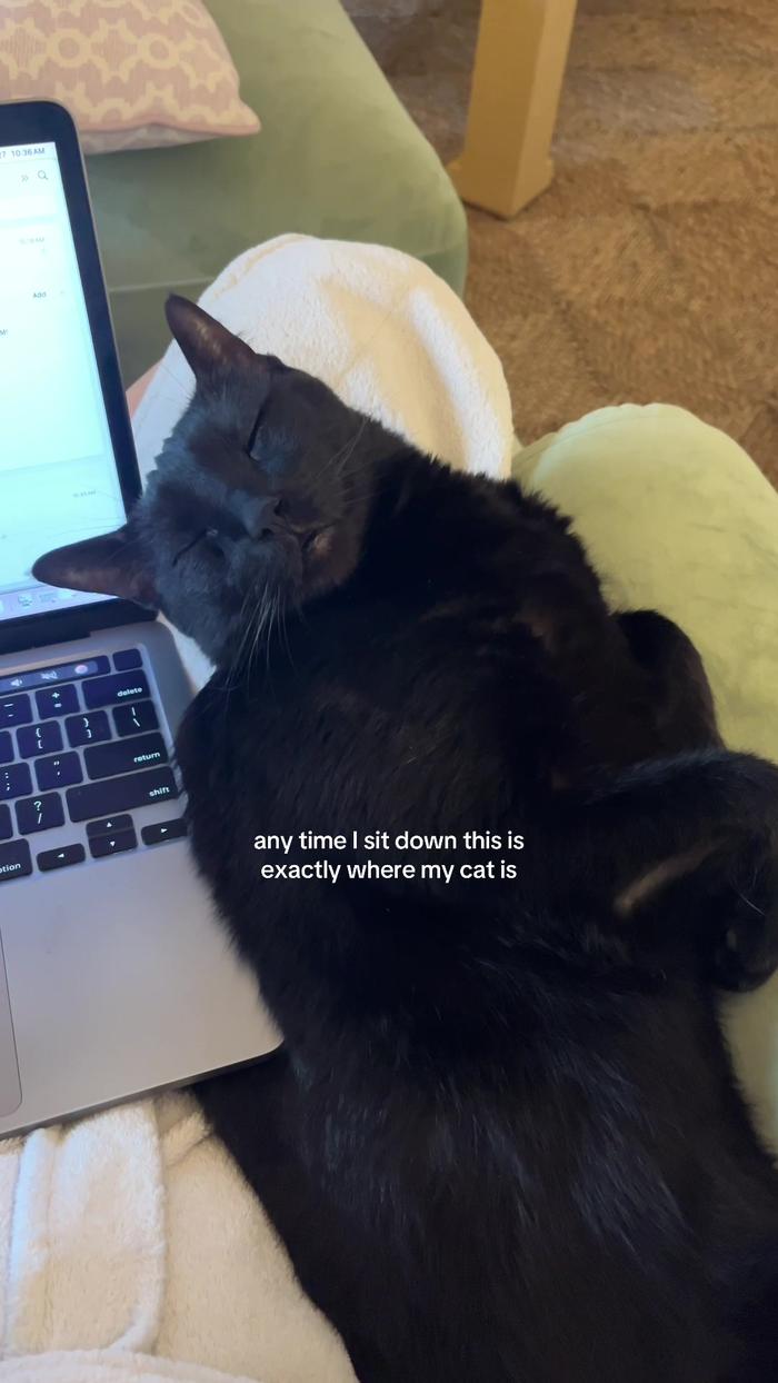 Post by lillie__powell