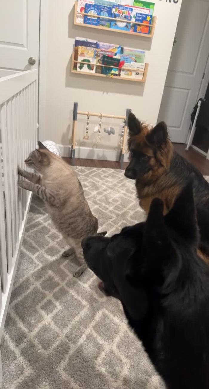 Post by taylorpatten_