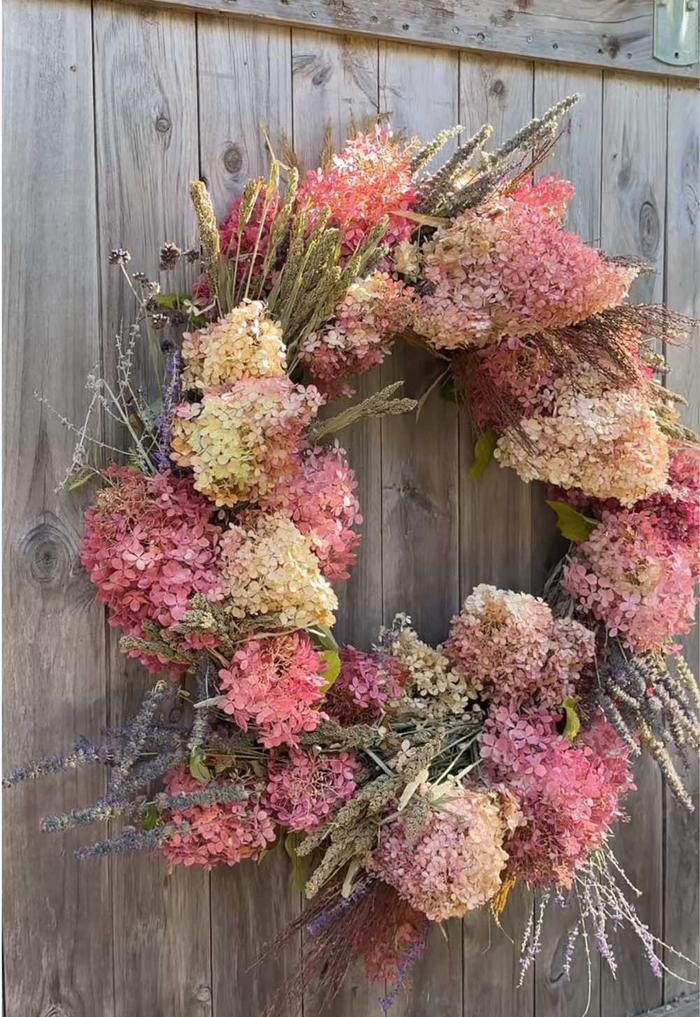 Post by nicolashome.maine