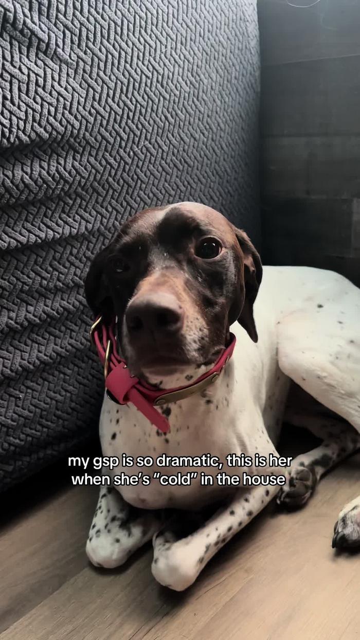 Post by annmariesmith_