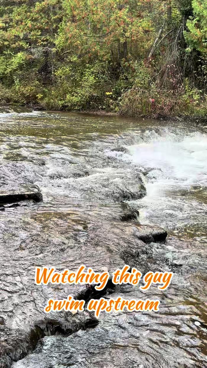 Post by angiesadventures0717