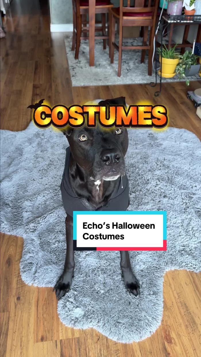 Post by nataliedoingthings_