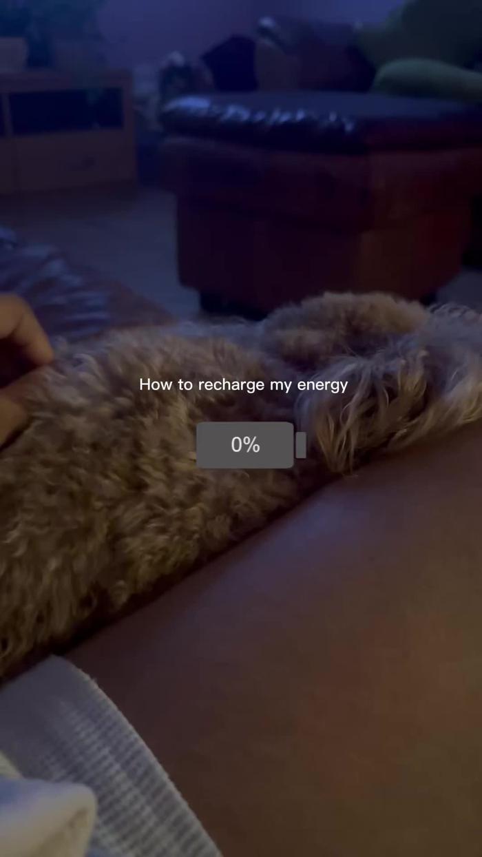 Post by itslulbrandi